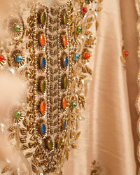 Champagne Multicolour Embellished Suit Design