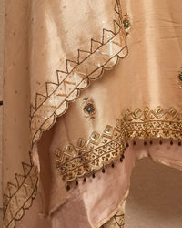 Champagne Multicolour Embellished Suit Design